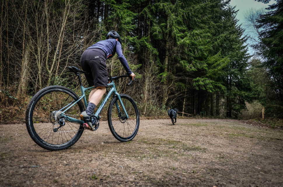 Best gravel bikes under 1 500 in 2024 drop bar machines that won t break the bank off road.cc